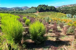 16 Sandia Creek Dr, Temecula, CA 92590 - Photo 10