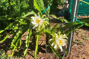 16 Sandia Creek Dr, Temecula, CA 92590 - Photo 4