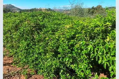 16 Sandia Creek Drive, Temecula, CA 92590 - Photo 6