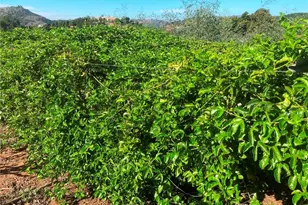 16 Sandia Creek Dr, Temecula, CA 92590 - Photo 6