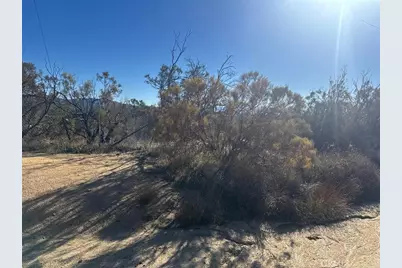 40570 Elm Brush Trail, Anza, CA 92539 - Photo 24
