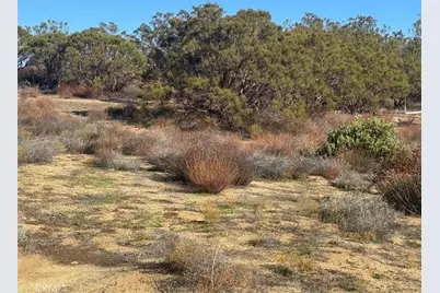 40570 Elm Brush Trail, Anza, CA 92539 - Photo 26