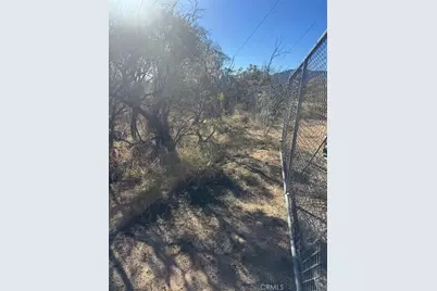 40570 Elm Brush Trail, Anza, CA 92539 - Photo 28