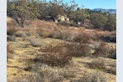 40570 Elm Brush Trail, Anza, CA 92539 - Photo 28