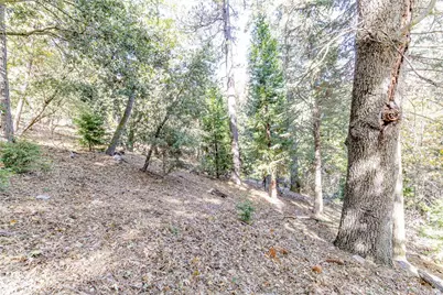 0 Alder Creek Road, Cedarpines Park, CA 92322 - Photo 2