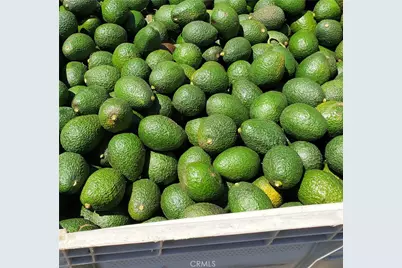 43520 Calle Colina, Temecula, CA 92590 - Photo 2