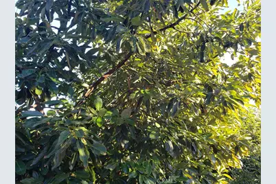 43520 Calle Colina, Temecula, CA 92590 - Photo 8