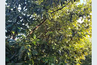 43520 Calle Colina, Temecula, CA 92590 - Photo 8