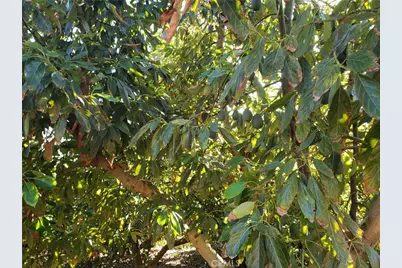 43520 Calle Colina, Temecula, CA 92590 - Photo 6