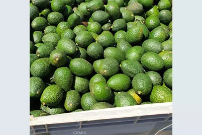 43520 Calle Colina, Temecula, CA 92590 - Photo 1