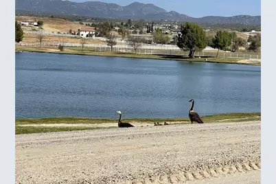 41173 Rocky Valley Way, Aguanga, CA 92536 - Photo 12