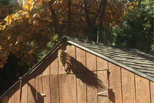 9112 Torrey Pines Rd, Forest Falls, CA 92339 - Photo 8