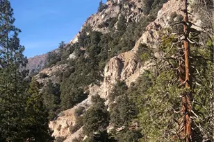 9112 Torrey Pines Rd, Forest Falls, CA 92339 - Photo 26