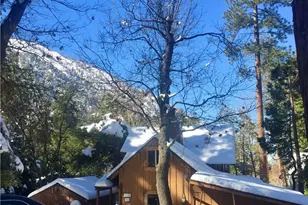 9112 Torrey Pines Rd, Forest Falls, CA 92339 - Photo 30