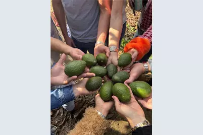 4 Calle Uva, Temecula, CA 92590 - Photo 10