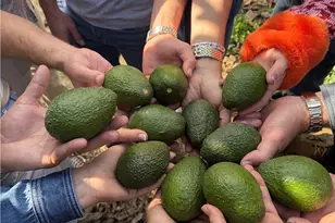 4 Calle Uva, Temecula, CA 92590 - Photo 10