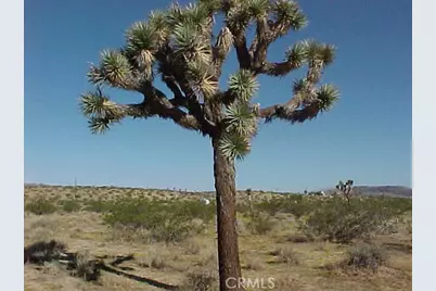 528 Landers Lane, Landers, CA 92285 - Photo 2