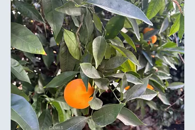 22700 Cascade Drive, Canyon Lake, CA 92587 - Photo 26