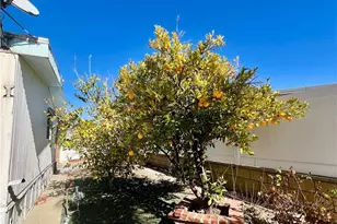 30615 Arenga Palm Dr, Homeland, CA 92548 - Photo 26