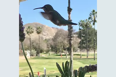 26097 Fountain Palm Drive, Homeland, CA 92548 - Photo 36