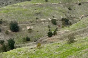 15 Camino Gatillo Rd, Temecula, CA 92590 - Photo 6