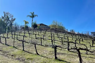 39526 Calle Cabernet, Temecula, CA 92591 - Photo 50