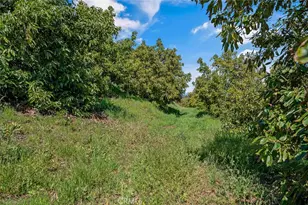 48825 Via Vaquero, Temecula, CA 92590 - Photo 32