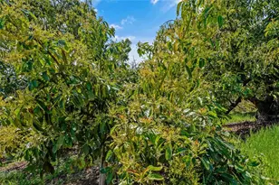 48825 Via Vaquero, Temecula, CA 92590 - Photo 34