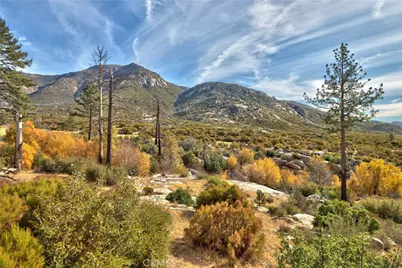 58111 Bonita Vista Road, Mountain Center, CA 92561 - Photo 58