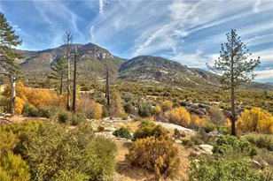 58111 Bonita Vista Rd, Mountain Center, CA 92561 - Photo 58