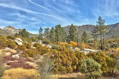 58111 Bonita Vista Road, Mountain Center, CA 92561 - Photo 4