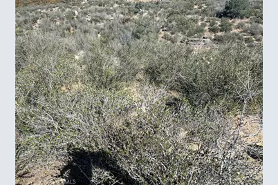 40635 Tweedie Trail, Anza, CA 92539 - Photo 4