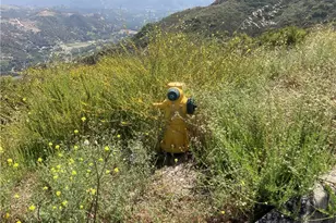 5 Crumley Ct, Temecula, CA 92590 - Photo 18