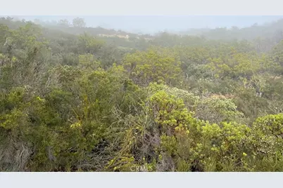 0 Quartz, Anza, CA 92539 - Photo 14