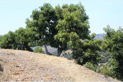 4 Via Vaquero Road, Temecula, CA 92590 - Photo 10