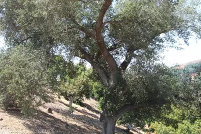 4 Via Vaquero Road, Temecula, CA 92590 - Photo 8