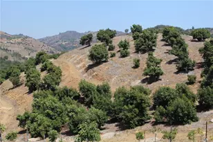 4 Via Vaquero Rd, Temecula, CA 92590 - Photo 4