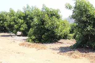 4 Via Vaquero Rd, Temecula, CA 92590 - Photo 1