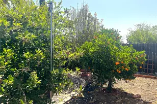 31768 Via Verde, Lake Elsinore, CA 92530 - Photo 18