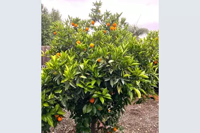 31768 Via Verde, Lake Elsinore, CA 92530 - Photo 24