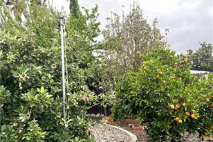 31768 Via Verde, Lake Elsinore, CA 92530 - Photo 20