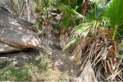 879 Stewart Canyon Road, Fallbrook, CA 92028 - Photo 64