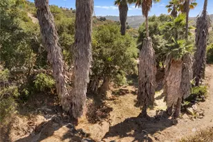 879 Stewart Cyn Rd, Fallbrook, CA 92028 - Photo 44