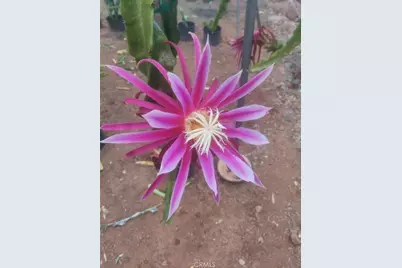 1996 Rainbow Glen Road, Fallbrook, CA 92028 - Photo 18