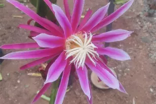 1996 Rainbow Glen Rd, Fallbrook, CA 92028 - Photo 18