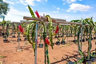 1996 Rainbow Glen Road, Fallbrook, CA 92028 - Photo 4