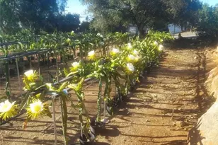 1996 Rainbow Glen Rd, Fallbrook, CA 92028 - Photo 16