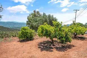 1996 Rainbow Glen Rd, Fallbrook, CA 92028 - Photo 50