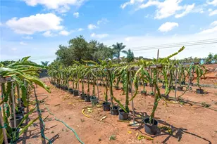 1996 Rainbow Glen Rd, Fallbrook, CA 92028 - Photo 52