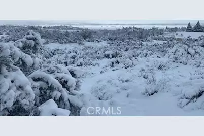 56735 Cain Road, Anza, CA 92539 - Photo 8